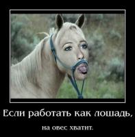 x_ac2390f2.jpg