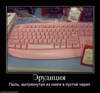 x_0b1d0c70.jpg