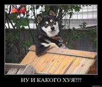 x_c61e026f.jpg