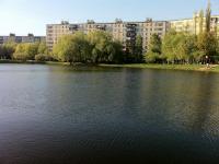 IMG_0200.jpg