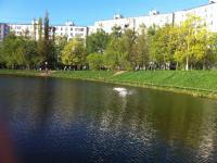 IMG_0201.jpg