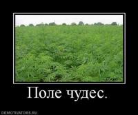 x_59226bec.jpg