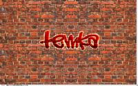temka.jpg