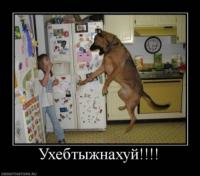 4af8240c-6376-fd4f-d100-9c22af898ac4.jpeg