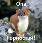 Не как и некуда не коннектиться - последнее сообщение от FamilOff