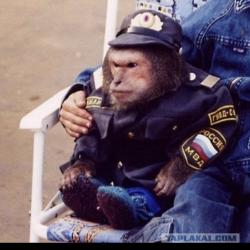 Ищу Тимейта или Клан - последнее сообщение от Teslaa