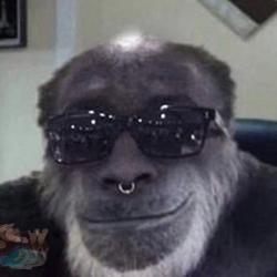 Ищу напарника для совместной игры (16+) Чернарусь Классик - последнее сообщение от Volnuu