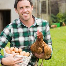 у вас тоже сервера не доступны ? - последнее сообщение от Dr-Dreamer