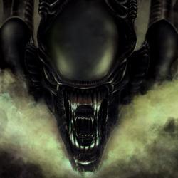 Поиск людей для совместной игры - последнее сообщение от Alien1990