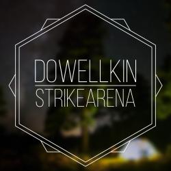 Пользователь - последнее сообщение от dowellkin